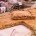 » Torta salata con melanzaneTorta salata con melanzane , ricetta per una torta salata a base ...Rotolo di Pizza con...